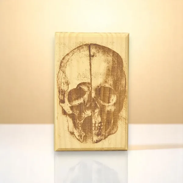 Cráneo - Da Vinci - Imagen 3