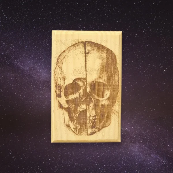Cráneo - Da Vinci - Imagen 2