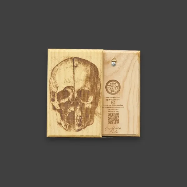 Cráneo - Da Vinci - Imagen 4