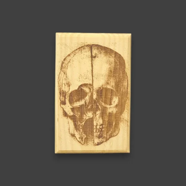 Cráneo - Da Vinci - Imagen 5